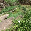 Plants: image 58 Of 208 Thumb